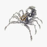 Vooraanzicht reuzenspin