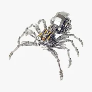 Vooraanzicht reuzenspin