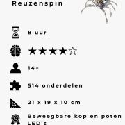 Reuzenspin