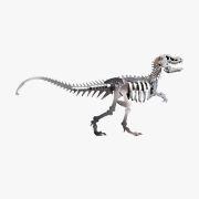 Tyrannosaurus Rex
