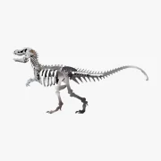 Zijaanzicht tyrannosaurus rex