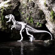 Tyrannosaurus Rex