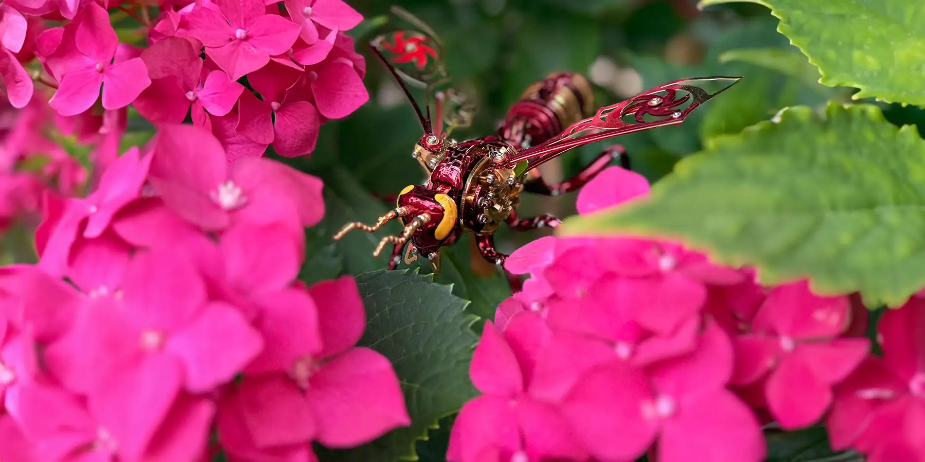 Rode Wesp afgebeeld in een bloem