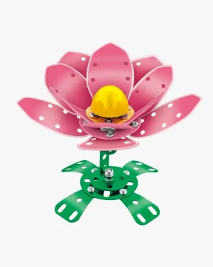 Roze Klaproos