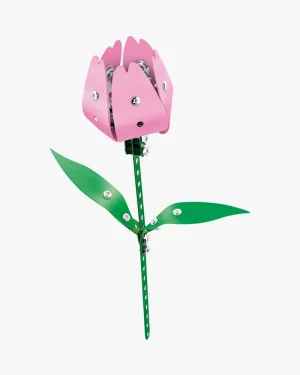 Roze Tulp