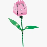 Vooraanzicht Roze Tulp