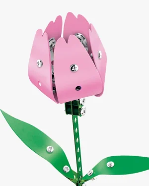 Roze Tulp