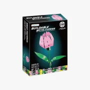 Verpakking Roze Tulp